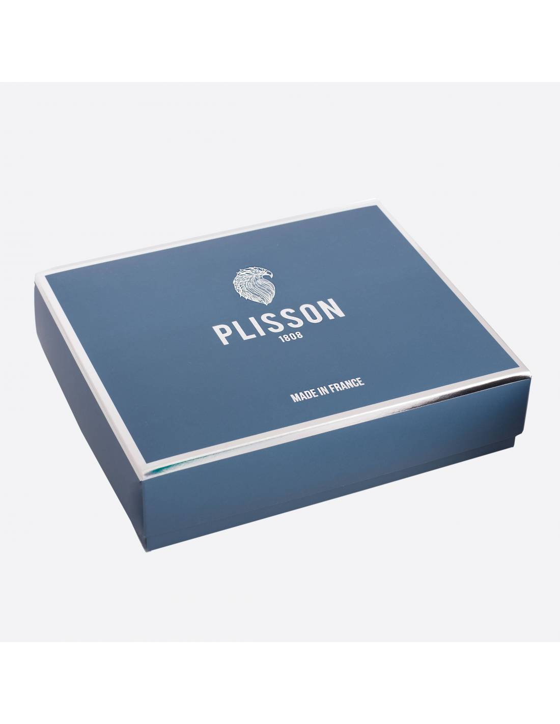 Initiation Plisson en noir vernis